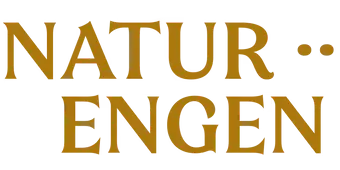 naturengen-logo_web-brun_2